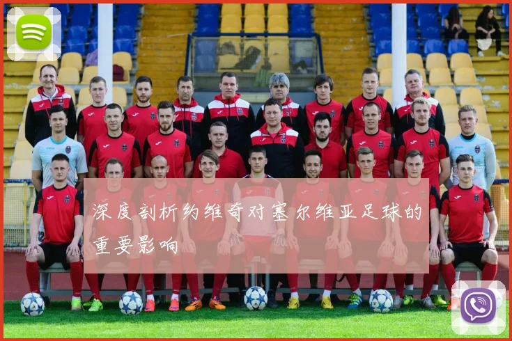 深度剖析约维奇对塞尔维亚足球的重要影响
