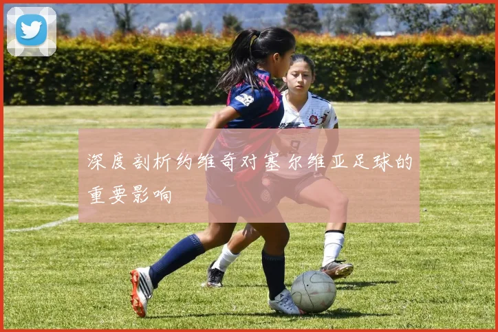 深度剖析约维奇对塞尔维亚足球的重要影响