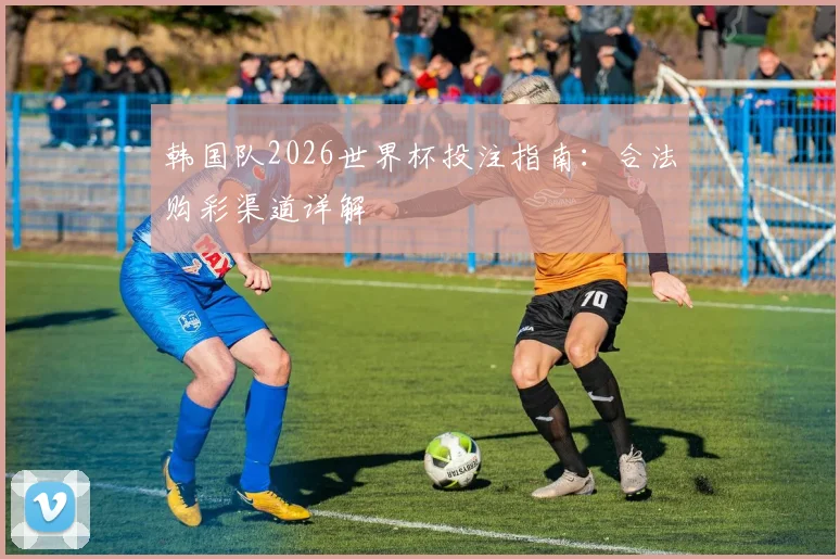 韩国队2026世界杯投注指南：合法购彩渠道详解